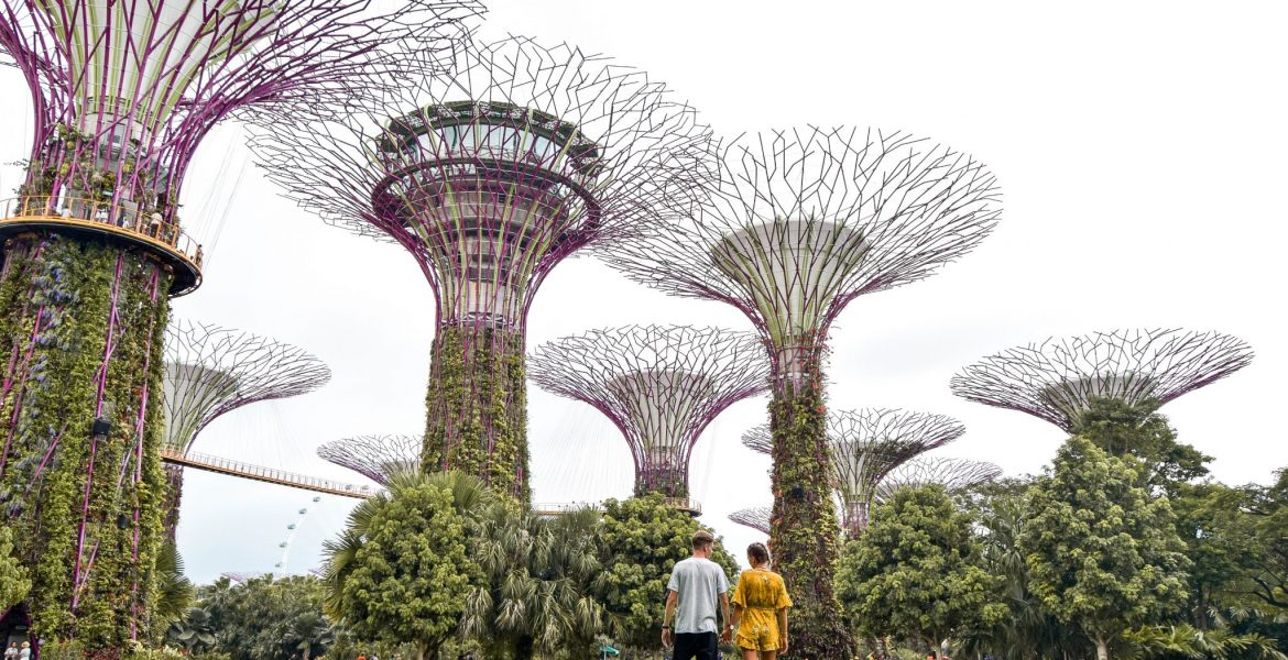 Construcciones arquitectónicas famosas: Gardens Singapur